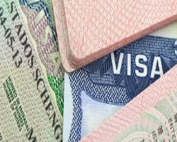 MBBS Visa Consultant